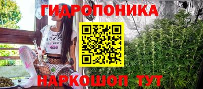 прущие крисы Анжеро-Судженск