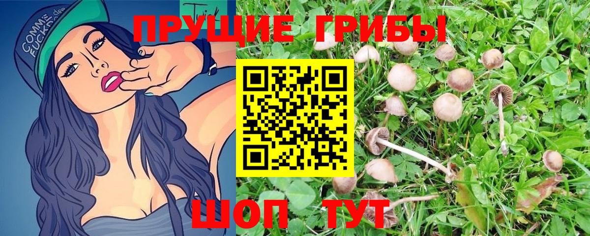 Галлюциногенные грибы GOLDEN TEACHER Керчь
